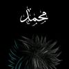 user2038153680088