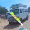 mordieng863