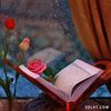 user39806506081318