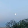 saer.jabri