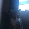 jaydenn4444