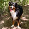 rileytheaussiee