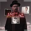 amit.ae1234