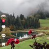 rewa.alrouh