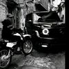 duque___5560
