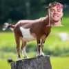 hojlundleftbumcheek0.09