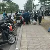 thanhthaovy11