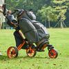 mr_golf.cart01