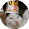 cury_roblox