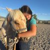 guapo_the_horse