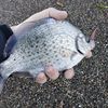 cafishingintheval