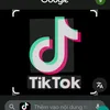 ni.v.ta100