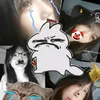 iuem_hongngoc