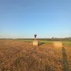 solniczka_11