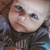 shahab.lashkri