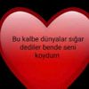 gamzeersoyyasinin