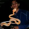 Cobra Prince official