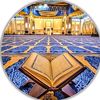ahmed09501