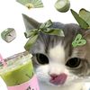 matcha94332