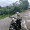 thucdo_