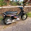 auliapis210625