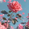 tamim.sheikh333