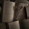 booklova0