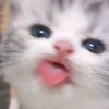 bbybo2sweety