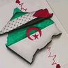 user7705300233041