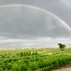anhmaydepzai2