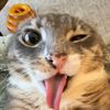 yasss_1111