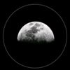 ahmad.alsayed742