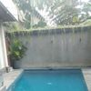 budi.anduk747