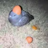 jakubdudys1