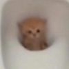 مراهقه بدون الالف