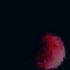 venera__42