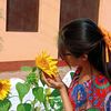 thet.htar6509