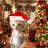 crystal_jane2345