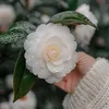 nadianadine014