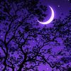 eleanor_459