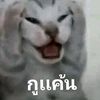 kmdkmd483