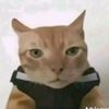 habibi_5990