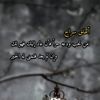 baazi.benchikh