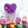 user74381761101611