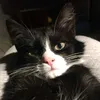 quilzz_thegoat1