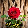 user1938249607173