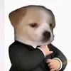 cacto_262
