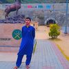 user018147754