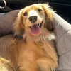 bellathesassysausage