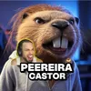Peereira Castor